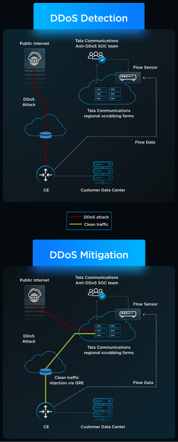 DDoS Mitigation