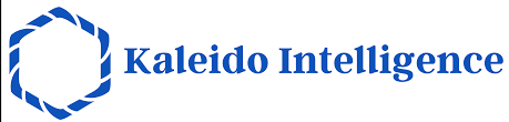 Kaleido Intelligence