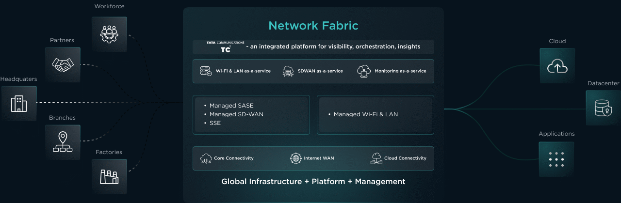 network_infographic_fb (1)