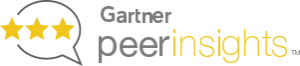 Gartner_hero_graphic1-300x66-1.png
