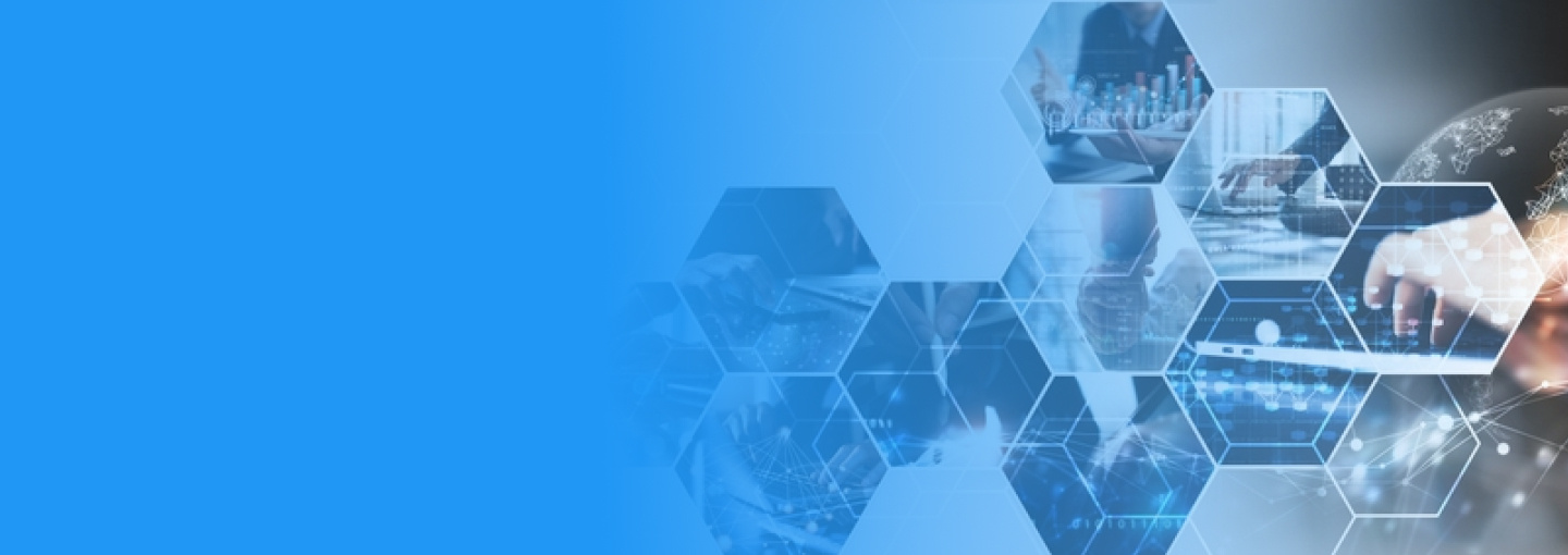 Secure GVPN solutions for multinational corporations