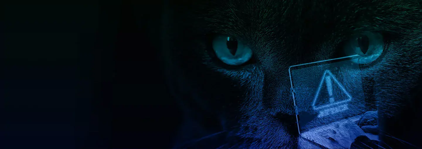 Unmasking the Black Cat Ransomware: A Deep Dive into the Threat