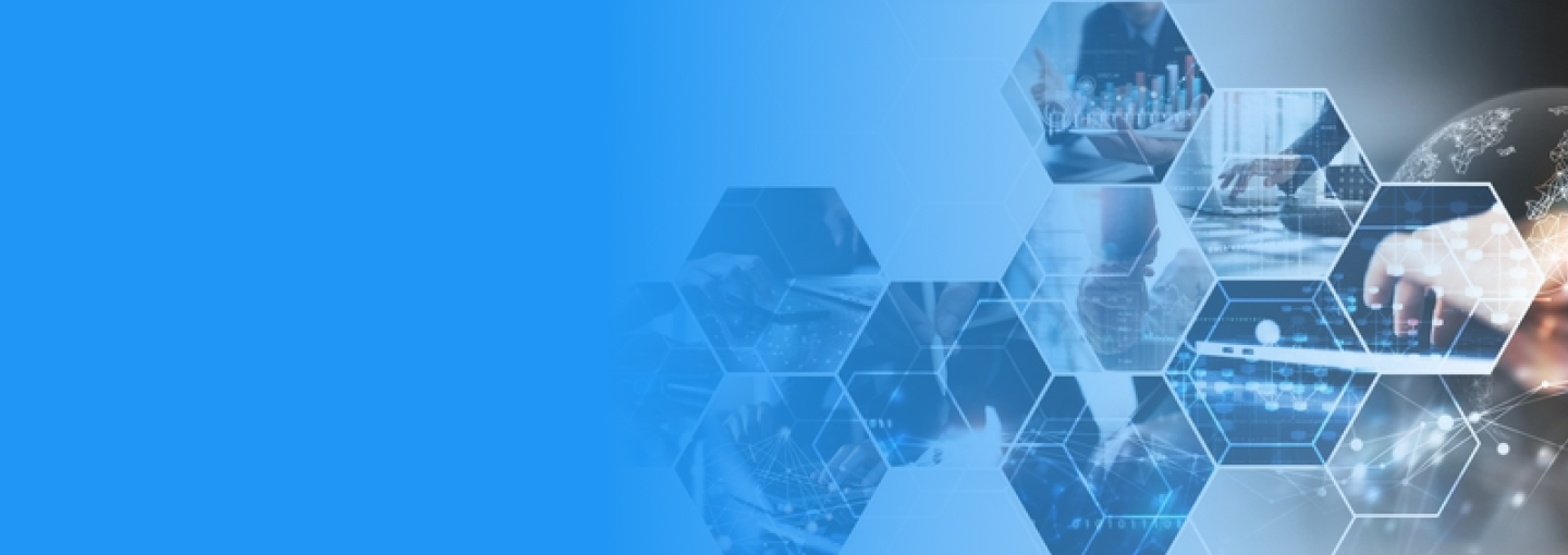 Secure GVPN solutions for multinational corporations