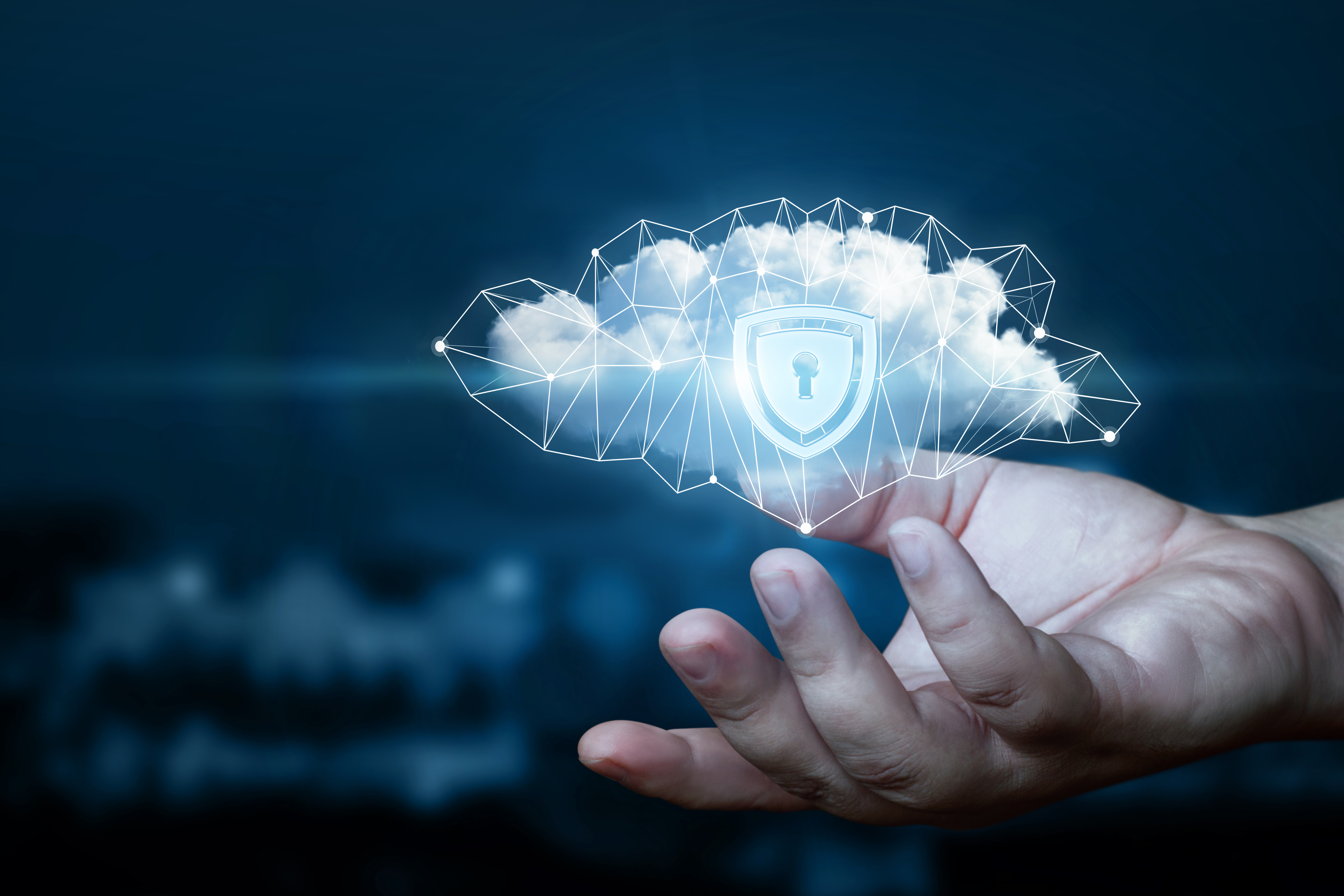 Cloud Service Provider