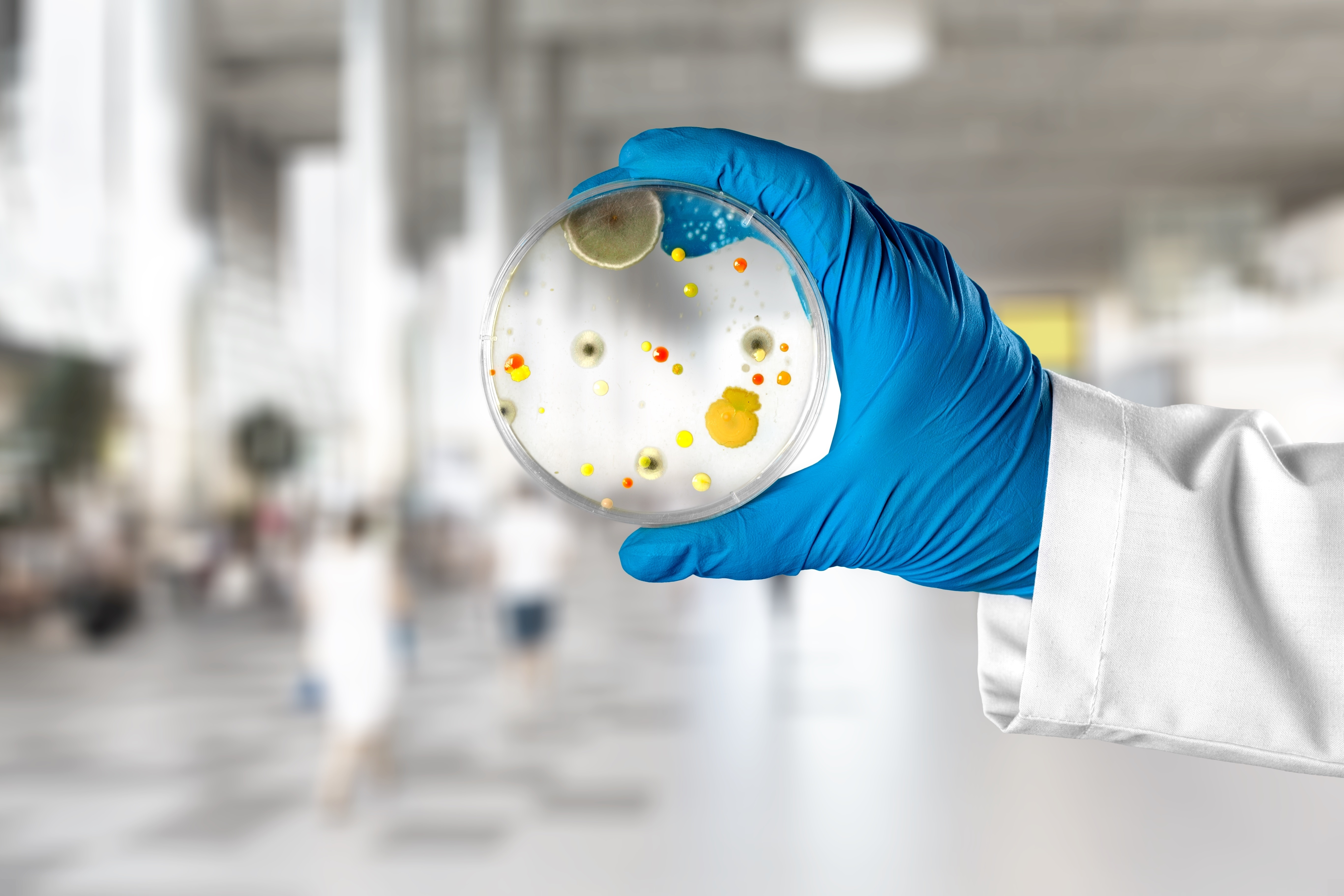 Bacteriologist