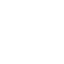PDF Icon
